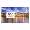 AVDisplay Signage PRO 55